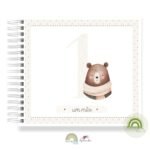 Livro Memórias Afetivas Mesversário Urso Theodoro - Image 4